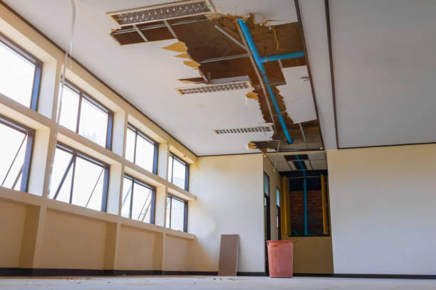 Best Fire Damage Restoration  in Meridian Hills, IN