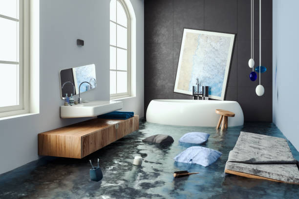 Best Flooded house restoration  in Meridian Hills, IN