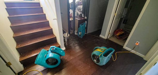 Best Water damage contractors near me  in Meridian Hills, IN
