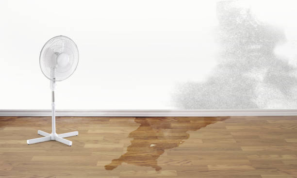 Best Water damage restoration near me  in Meridian Hills, IN