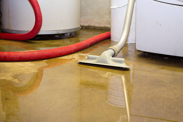 Reliable Meridian Hills, IN Water damage restoration Solutions