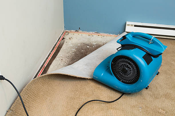 24/7 water damage repair in Meridian Hills, IN